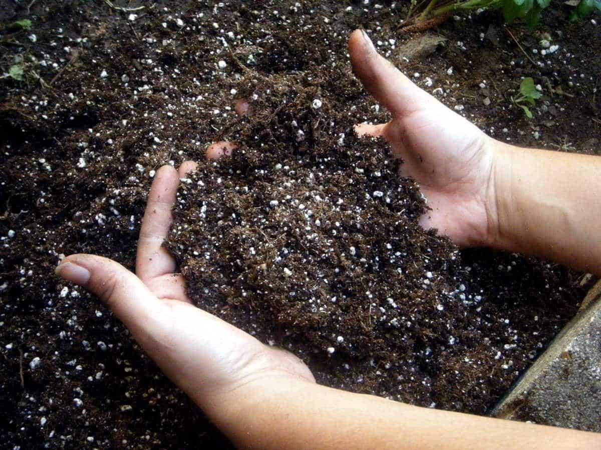 raise-soil-ph-levels-fertilizer-for-less-gardening-farming-lawn